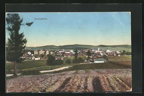 AK Neubistritz, Blick von den Feldern zur Stadt