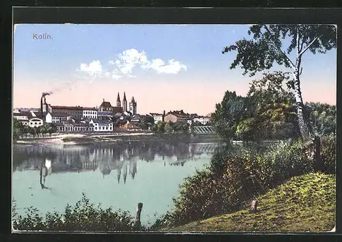 AK Kolin, Birken am Elbeufer, Blick in die Stadt und auf die Höäuser auf der anderen Seite