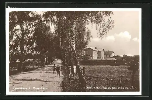 AK Kamenice n.L., Brezova alej.