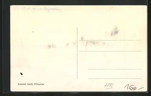 AK Pribyslav, Celkový pohled