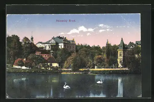 AK Nemecký Brod, Villen am Schwanenteich