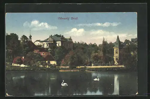 AK Nemecký Brod, Villen am Schwanenteich