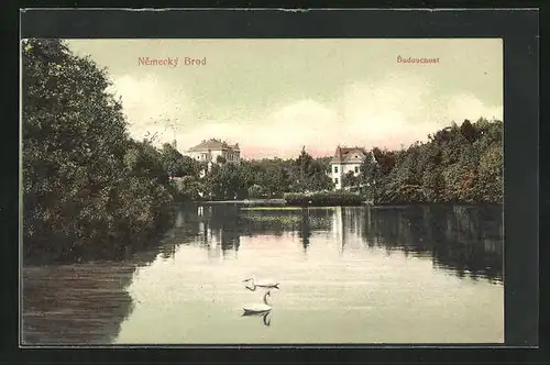 AK Nemecký Brod, Budoucnost