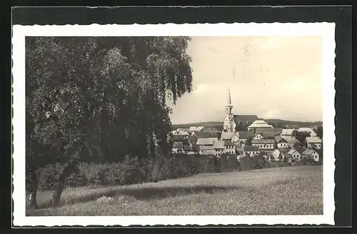 AK Zirovnice, Celkový pohled