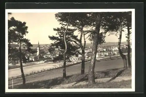 AK Trebitsch /Trebic, Blick aus einem Kiefernwäldchen auf die Ortschaft