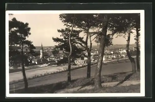 AK Trebitsch /Trebic, Blick aus einem Kiefernwäldchen auf die Stadt