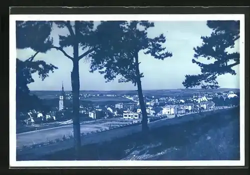 AK Trebitsch /Trebic, Blick aus einem Kiefernwäldchen auf die Stadt und ins Land