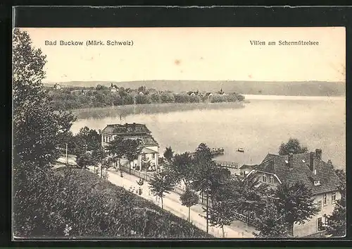 AK Bad Buckow /Märk. Schweiz, Villen am Schermützelsee