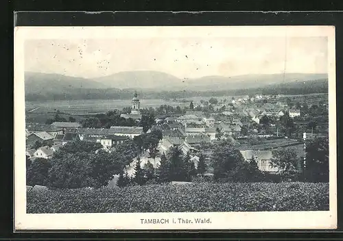 AK Tambach i. Thür. Wald, Teilansicht