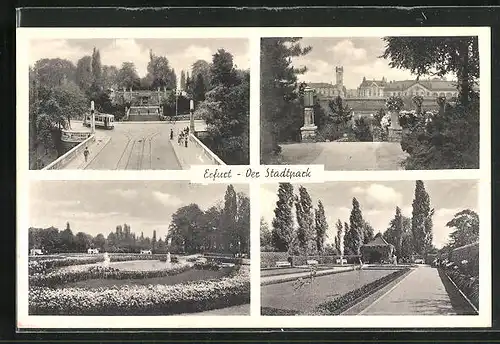 AK Erfurt, Der Stadtpark, Strassenpartie mit Strassenbahn, Teich, Parkpartie