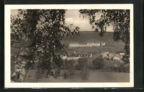 AK Velké Mezirici, Svetla