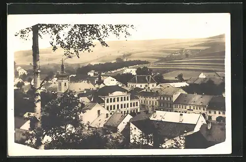 Foto-AK Brezova n. Svitavou, Teilansicht mit Baum