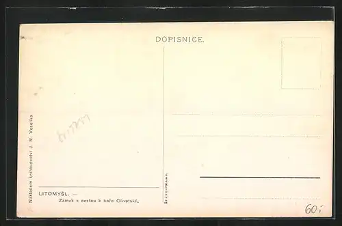 Künstler-AK Leitomischl / Litomysl, Zamek s cestou k hore Olivetske