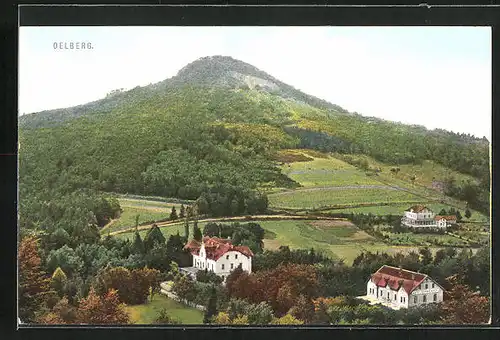 AK Königswinter, Hotel Sophienhof mit Wäldern und Oelberg