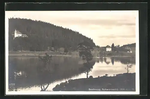 AK Seebrugg /Schwarzwald, Uferpartie