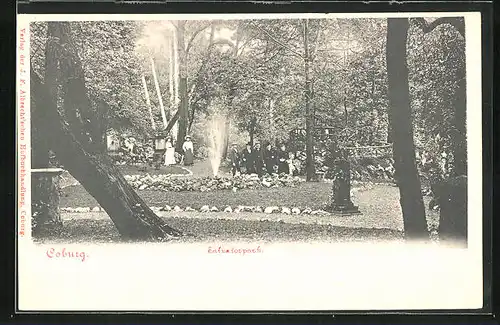 AK Coburg, Salvatorpark