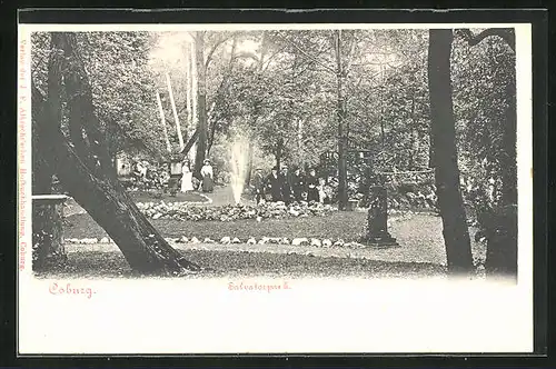 AK Coburg, Salvatorpark