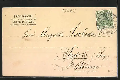 AK Köln a. Rh., Am Rheinufer