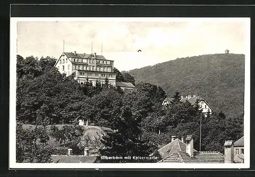 AK Blankenburg /Harz, Silberborn mit Kaiserwarte