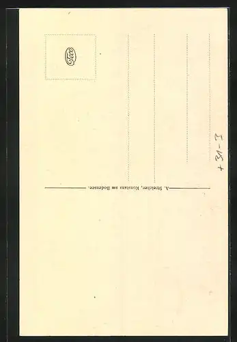 AK Konstanz a. Bodensee, Münster, Innenansicht Empore mit Orgel