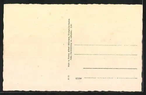 AK Rimpar, Schloss, Schulhaus, Strassenpartie