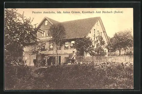 AK Krumbach / Limbach, Hotel-Pension Auerhahn