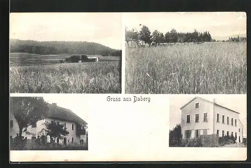 AK Daberg, Gebäudeansichten, Haus am Feld