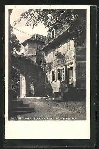 AK Bad Salzungen, Teilansicht vom Haunschen Hof