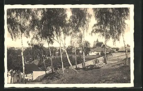 AK Jihlava /Iglau, Blick von einem Birkenwäldchen auf die Stadt