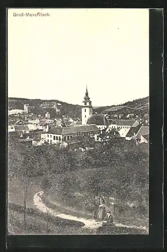 AK Gross-Meseritsch, Panoramablick auf den Ort