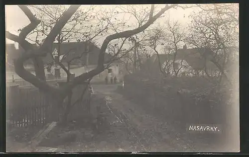 Foto-AK Nasavrky, Strassenpartie mit Gebäudeansicht und Baum