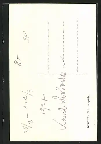 AK Leitomischl / Litomysl, Dum u rytiru