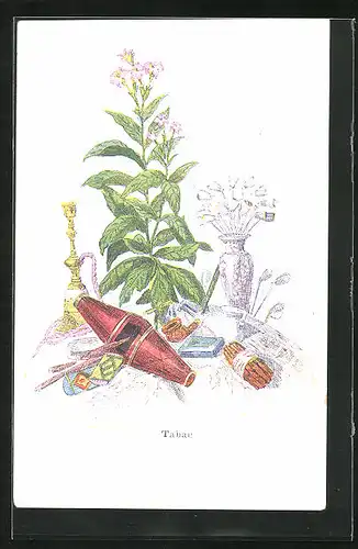 Lithographie Tabakpflanze und Rauchutensilien, Wasserpfeife, Rauchen