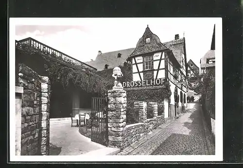 AK Rüdesheim /Rhein, Gasthaus Drosselhof
