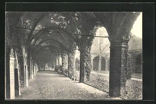 AK Stralsund, Kreuzgang im Johanniskloster