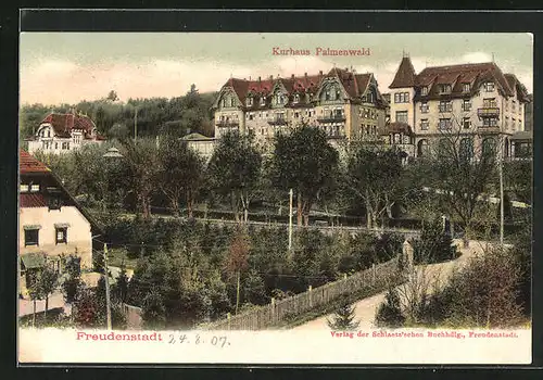AK Freudenstadt, Kurhaus Palmenwald