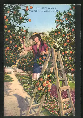 AK Frau im Orangengarten bei der Ernte, Landwirtschaft