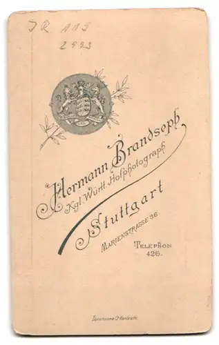 Fotografie H. Brandseph, Stuttgart, Marienstrasse 36, Gardesoldat des Inf. Rgt. 119