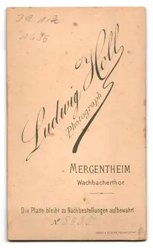 Fotografie Ludwig Holl, Mergentheim, Wachbacherthor, Musiker in Uniform mit Schwalbennest, Inf.-Rgt. 122