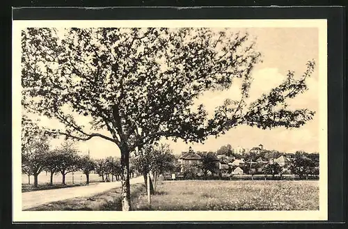 AK Nasavrky, Landstrasse am Ortrand