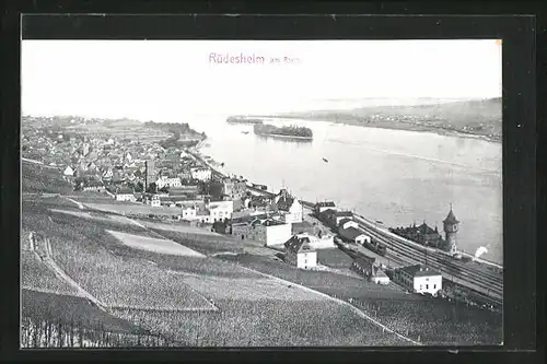 AK Rüdesheim am Rhein, Ortsansicht