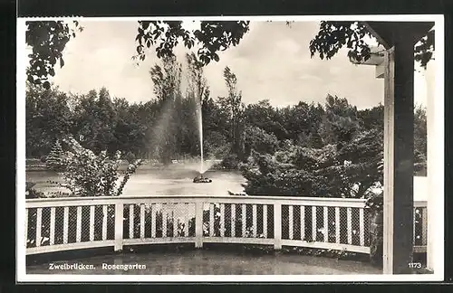 AK Zweibrücken, Rosengarten mit Blick auf Wasser-Fontäne