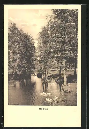 AK Mockau, Teich mit Enten