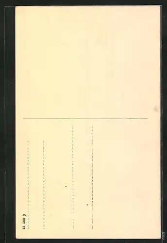 AK Mockau, Teich mit Enten