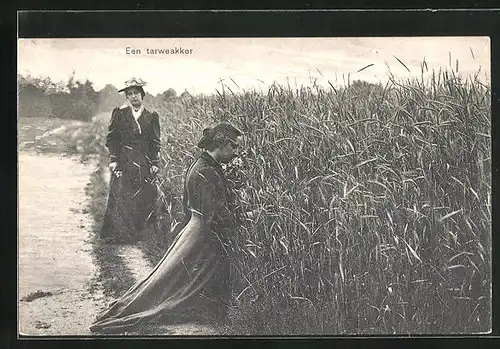 AK Een tarweakker, Zwei Frauen an einem Weizenfeld