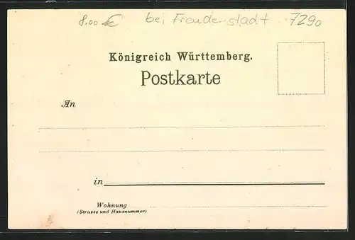 Künstler-AK Freudenstadt, Kurhaus Palmenwald, Gebäudeansicht