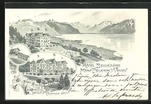 Lithographie Vevey - Mont Pelerin, Hotel Belvedere, See und Berge