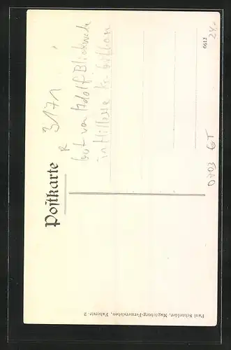 AK Hillerse Krs. Gifhorn, Gut von Adolf Blickwede