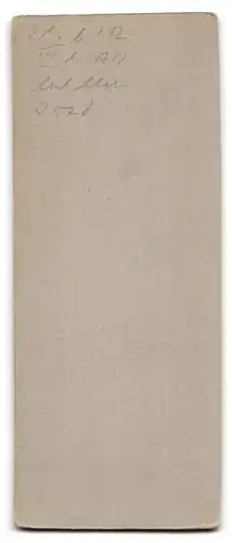 Fotografie Chr. Schildknecht, Fürth i. B., Weinstr. 13, Uffz. Musiker in Uniform mit Schwalbennest