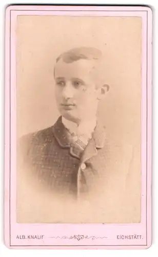 Fotografie Alb. Knauf, Eichstätt, Portrait junger Herr im Anzug